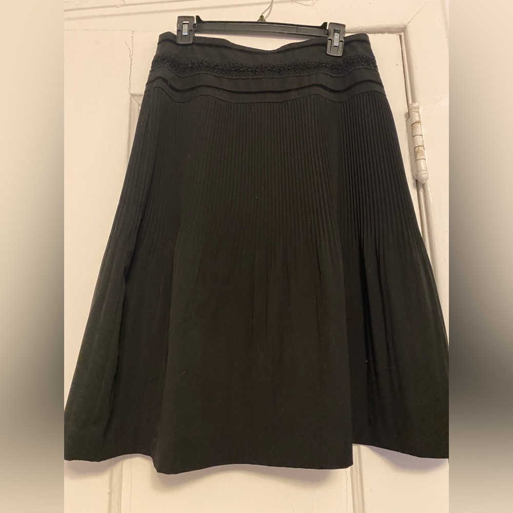 EUC pleated skirt with embroidery, US 10